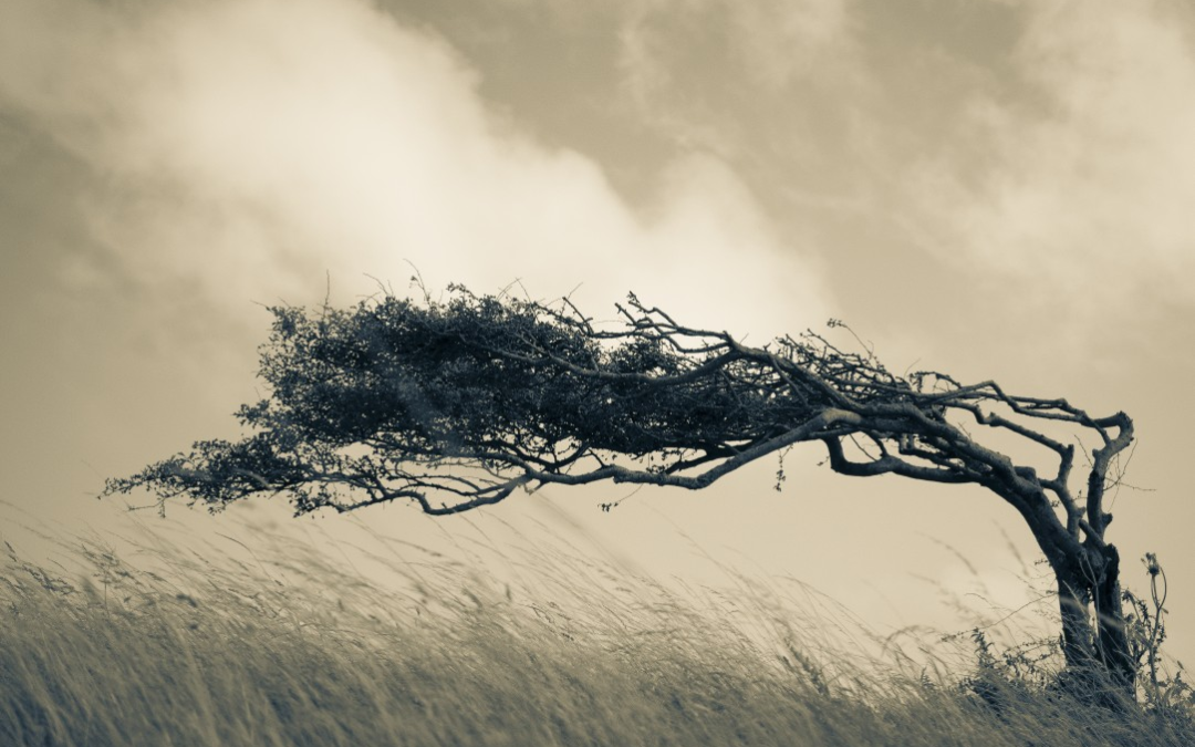 Resilience is something you can learn